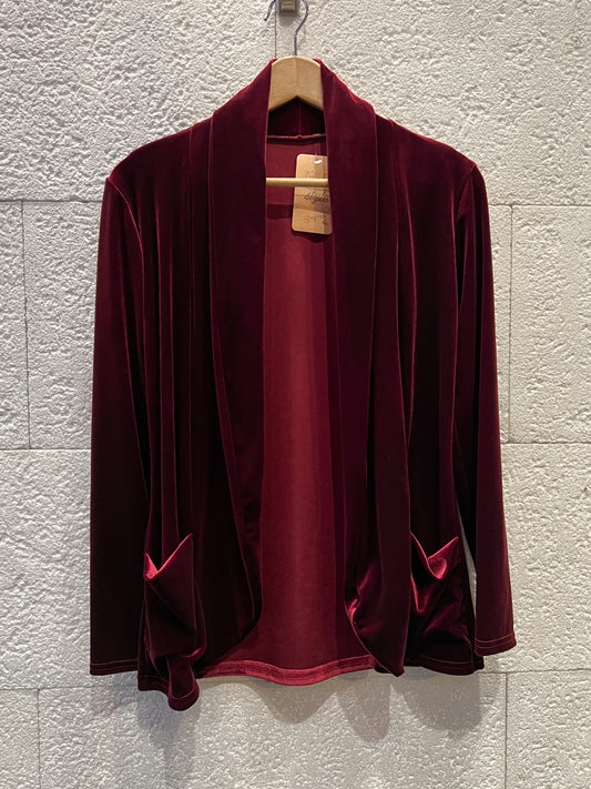 Blazer Velvet